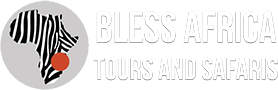 Bless Africa Tours